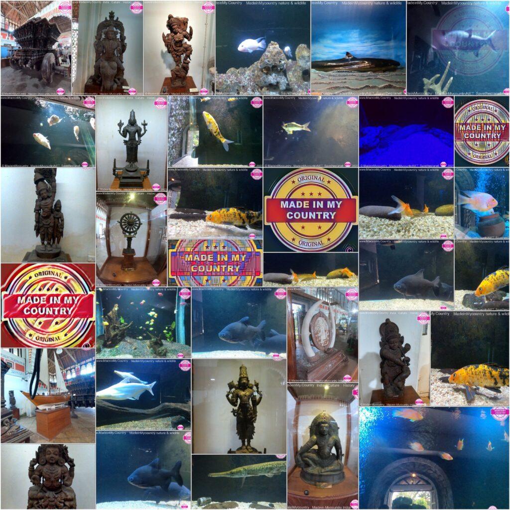 Kerala Museum of Natural History presented by MadeinMycountry

MadeinMycountry is a global platform that celebrates and supports local history, culture, art, and nature conservation efforts. For two decades, we have been sponsoring local museums, cultural organizations, travel destinations, historical sites and various cultural events around the world.