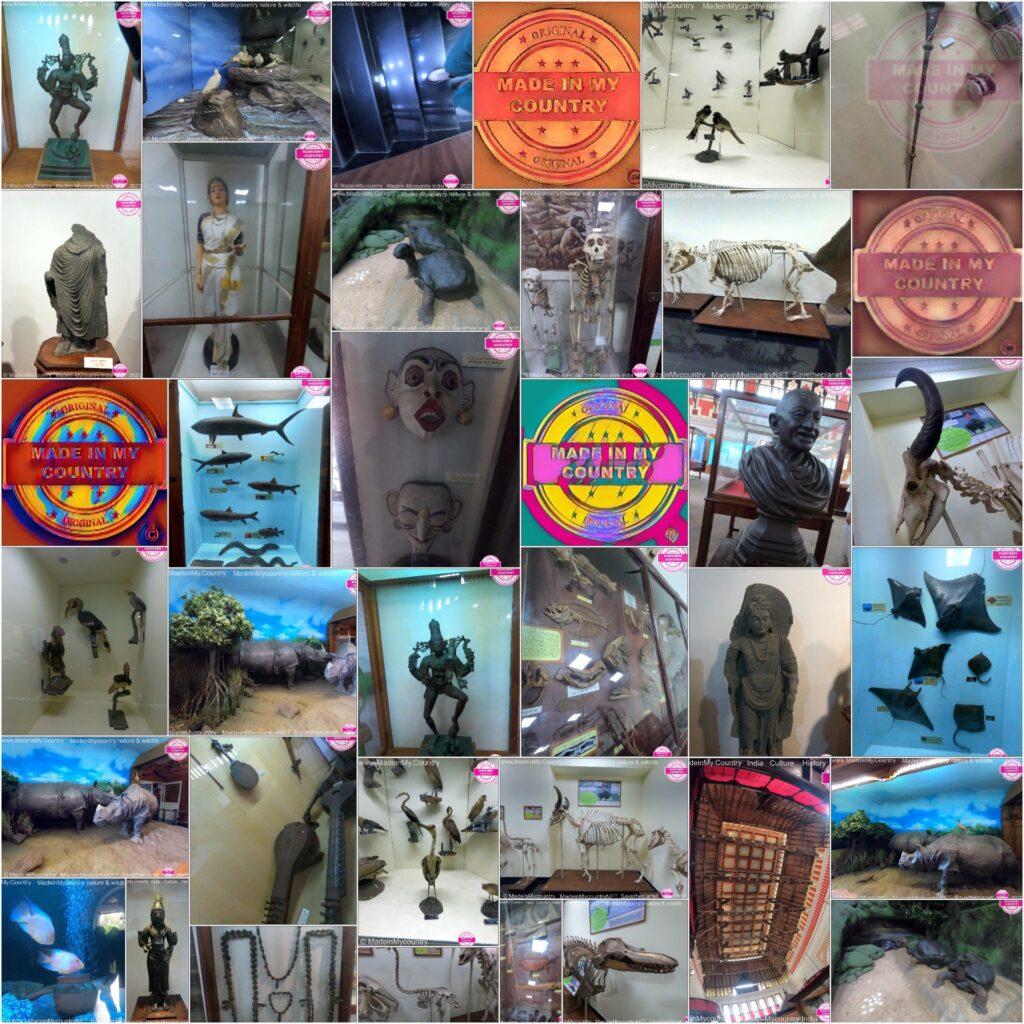 Kerala Museum of Natural History presented by MadeinMycountry

MadeinMycountry is a global platform that celebrates and supports local history, culture, art, and nature conservation efforts. For two decades, we have been sponsoring local museums, cultural organizations, travel destinations, historical sites and various cultural events around the world.
