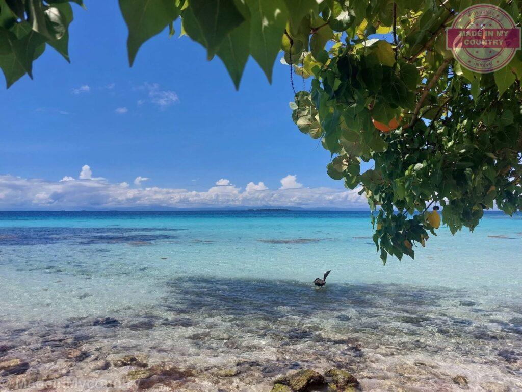 Belize Barrier Reef: a UNESCO world heritage site! MadeinMycountry is a global platform that celebrates and supports local history, culture, art, and nature conservation efforts. For two decades, we have been sponsoring local museums, cultural organizations, travel destinations, historical sites and various cultural events around the world.